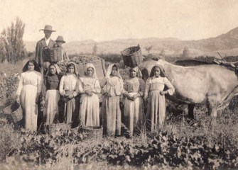 Historical Itata Wine Growers
